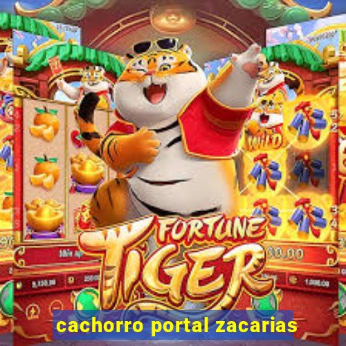 cachorro portal zacarias